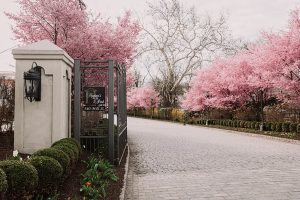 Tips For A Beautiful Spring Ceremony Setup